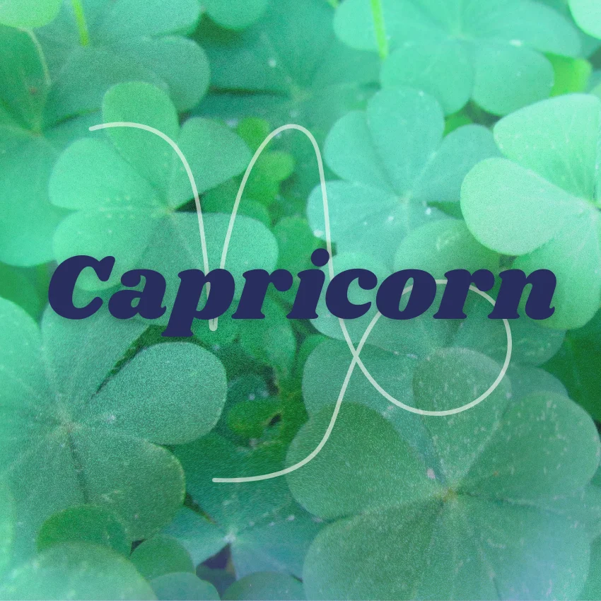 signes du zodiaque capricorne chance bonne fortune 20 août 2026